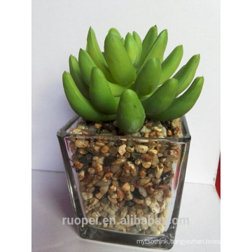 12.5cm high succulent plants artificial succulent plants